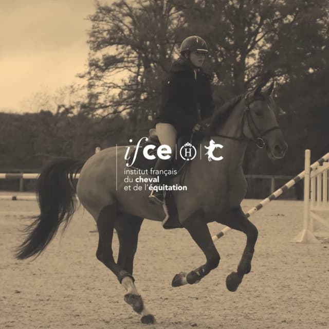 PORTES OUVERTES - IFCE SAUMUR (54)